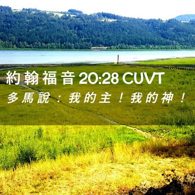 Picture 02 - 約 翰 福 音 20:28 CUVT - 多 馬 說 ： 我 的 主 ！ 我 的 神 - Bible Verse Picture