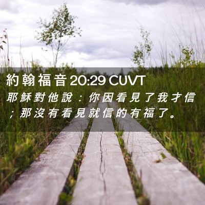 Picture 02 - 約 翰 福 音 20:29 CUVT - 耶 穌 對 他 說 ： 你 因 看 見 了 我 - Bible Verse Picture