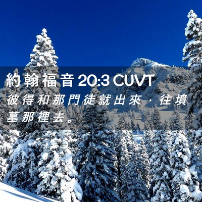 Picture 02 - 約 翰 福 音 20:3 CUVT - 彼 得 和 那 門 徒 就 出 來 ， 往 墳 - Bible Verse Picture