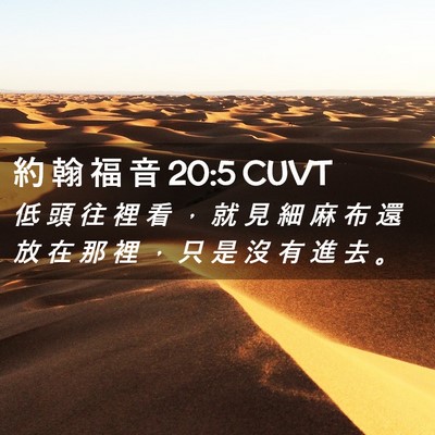 Picture 02 - 約 翰 福 音 20:5 CUVT - 低 頭 往 裡 看 ， 就 見 細 麻 布 還 - Bible Verse Picture