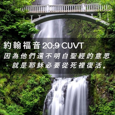Picture 02 - 約 翰 福 音 20:9 CUVT - 因 為 他 們 還 不 明 白 聖 經 的 意 - Bible Verse Picture