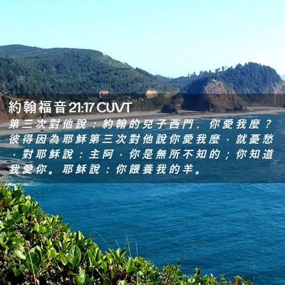 Picture 02 - 約 翰 福 音 21:17 CUVT - 第 三 次 對 他 說 ： 約 翰 的 兒 子 - Bible Verse Picture
