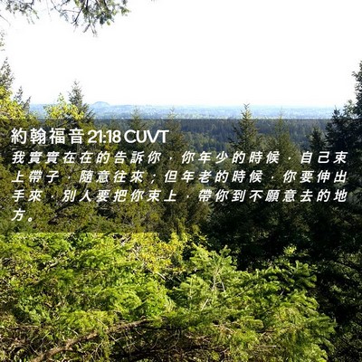 Picture 02 - 約 翰 福 音 21:18 CUVT - 我 實 實 在 在 的 告 訴 你 ， 你 年 - Bible Verse Picture