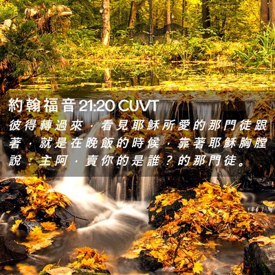 Picture 02 - 約 翰 福 音 21:20 CUVT - 彼 得 轉 過 來 ， 看 見 耶 穌 所 愛 - Bible Verse Picture