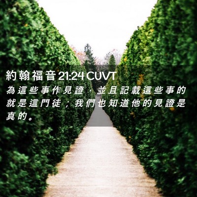 Picture 02 - 約 翰 福 音 21:24 CUVT - 為 這 些 事 作 見 證 ， 並 且 記 載 - Bible Verse Picture