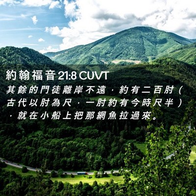 Picture 02 - 約 翰 福 音 21:8 CUVT - 其 餘 的 門 徒 離 岸 不 遠 ， 約 有 - Bible Verse Picture