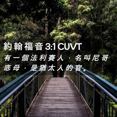 Picture 02 - 約 翰 福 音 3:1 CUVT - 有 一 個 法 利 賽 人 ， 名 叫 尼 哥 - Bible Verse Picture
