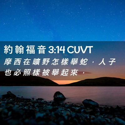 Picture 02 - 約 翰 福 音 3:14 CUVT - 摩 西 在 曠 野 怎 樣 舉 蛇 ， 人 子 - Bible Verse Picture