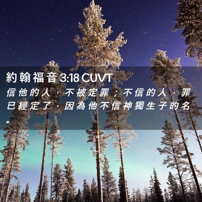 Picture 02 - 約 翰 福 音 3:18 CUVT - 信 他 的 人 ， 不 被 定 罪 ； 不 信 - Bible Verse Picture