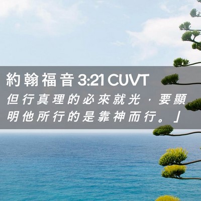 Picture 02 - 約 翰 福 音 3:21 CUVT - 但 行 真 理 的 必 來 就 光 ， 要 顯 - Bible Verse Picture