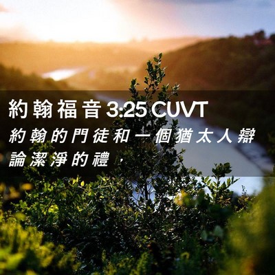 Picture 02 - 約 翰 福 音 3:25 CUVT - 約 翰 的 門 徒 和 一 個 猶 太 人 辯 - Bible Verse Picture
