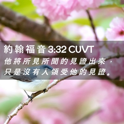 Picture 02 - 約 翰 福 音 3:32 CUVT - 他 將 所 見 所 聞 的 見 證 出 來 ， - Bible Verse Picture