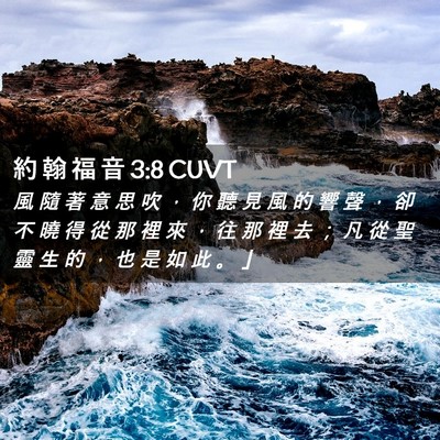 Picture 02 - 約 翰 福 音 3:8 CUVT - 風 隨 著 意 思 吹 ， 你 聽 見 風 的 - Bible Verse Picture