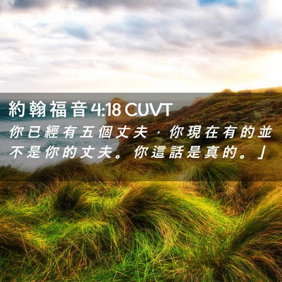 Picture 02 - 約 翰 福 音 4:18 CUVT - 你 已 經 有 五 個 丈 夫 ， 你 現 在 - Bible Verse Picture