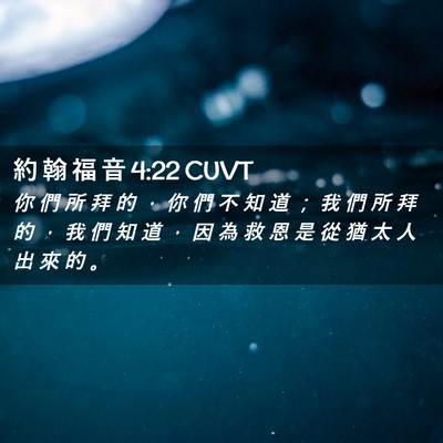 Picture 02 - 約 翰 福 音 4:22 CUVT - 你 們 所 拜 的 ， 你 們 不 知 道 ； - Bible Verse Picture