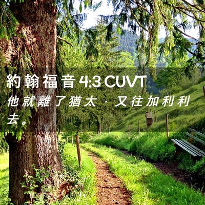 Picture 02 - 約 翰 福 音 4:3 CUVT - 他 就 離 了 猶 太 ， 又 往 加 利 利 - Bible Verse Picture