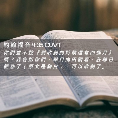 Picture 02 - 約 翰 福 音 4:35 CUVT - 你 們 豈 不 說 『 到 收 割 的 時 候 - Bible Verse Picture