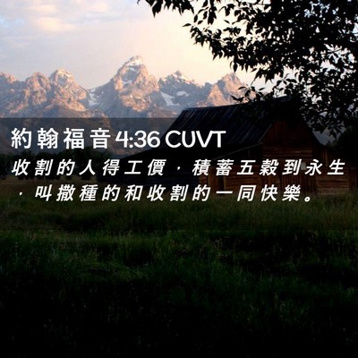 Picture 02 - 約 翰 福 音 4:36 CUVT - 收 割 的 人 得 工 價 ， 積 蓄 五 穀 - Bible Verse Picture
