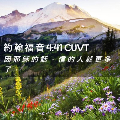 Picture 02 - 約 翰 福 音 4:41 CUVT - 因 耶 穌 的 話 ， 信 的 人 就 更 多 - Bible Verse Picture