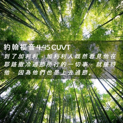 Picture 02 - 約 翰 福 音 4:45 CUVT - 到 了 加 利 利 ， 加 利 利 人 既 然 - Bible Verse Picture