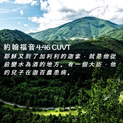 Picture 02 - 約 翰 福 音 4:46 CUVT - 耶 穌 又 到 了 加 利 利 的 迦 拿 ， - Bible Verse Picture