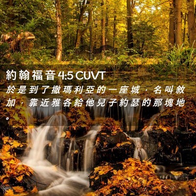 Picture 02 - 約 翰 福 音 4:5 CUVT - 於 是 到 了 撒 瑪 利 亞 的 一 座 城 - Bible Verse Picture