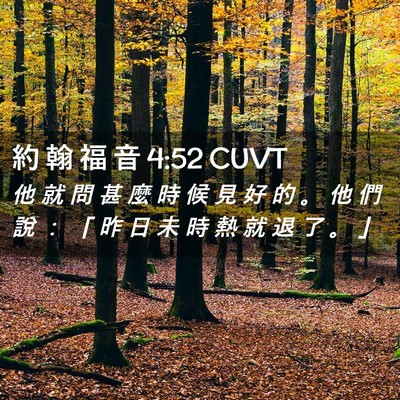 Picture 02 - 約 翰 福 音 4:52 CUVT - 他 就 問 甚 麼 時 候 見 好 的 。 他 - Bible Verse Picture