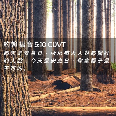 Picture 02 - 約 翰 福 音 5:10 CUVT - 那 天 是 安 息 日 ， 所 以 猶 太 人 - Bible Verse Picture