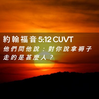 Picture 02 - 約 翰 福 音 5:12 CUVT - 他 們 問 他 說 ： 對 你 說 拿 褥 子 - Bible Verse Picture