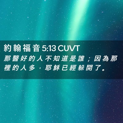 Picture 02 - 約 翰 福 音 5:13 CUVT - 那 醫 好 的 人 不 知 道 是 誰 ； 因 - Bible Verse Picture
