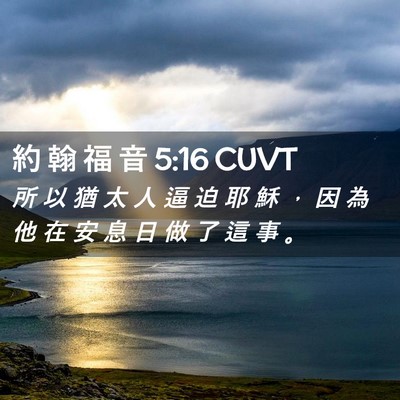 Picture 02 - 約 翰 福 音 5:16 CUVT - 所 以 猶 太 人 逼 迫 耶 穌 ， 因 為 - Bible Verse Picture
