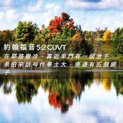 Picture 02 - 約 翰 福 音 5:2 CUVT - 在 耶 路 撒 冷 ， 靠 近 羊 門 有 一 - Bible Verse Picture