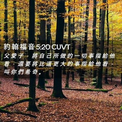Picture 02 - 約 翰 福 音 5:20 CUVT - 父 愛 子 ， 將 自 己 所 做 的 一 切 - Bible Verse Picture