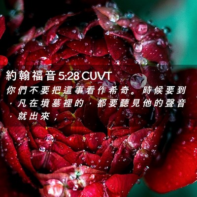 Picture 02 - 約 翰 福 音 5:28 CUVT - 你 們 不 要 把 這 事 看 作 希 奇 。 - Bible Verse Picture