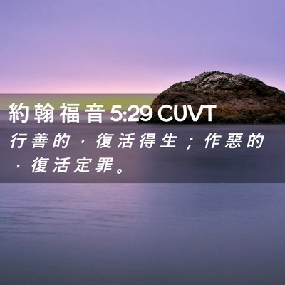 Picture 02 - 約 翰 福 音 5:29 CUVT - 行 善 的 ， 復 活 得 生 ； 作 惡 的 - Bible Verse Picture