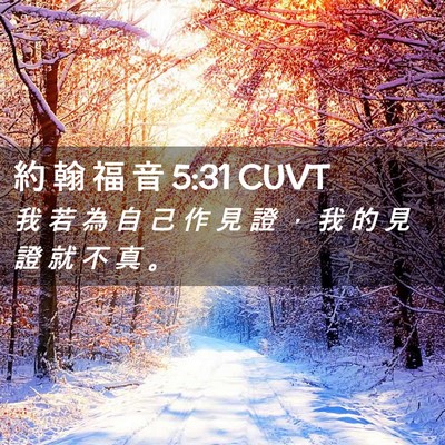 Picture 02 - 約 翰 福 音 5:31 CUVT - 我 若 為 自 己 作 見 證 ， 我 的 見 - Bible Verse Picture