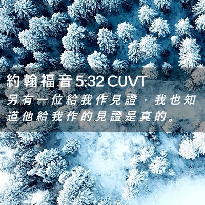 Picture 02 - 約 翰 福 音 5:32 CUVT - 另 有 一 位 給 我 作 見 證 ， 我 也 - Bible Verse Picture