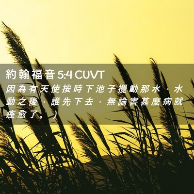 Picture 02 - 約 翰 福 音 5:4 CUVT - 因 為 有 天 使 按 時 下 池 子 攪 動 - Bible Verse Picture