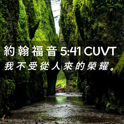 Picture 02 - 約 翰 福 音 5:41 CUVT - 我 不 受 從 人 來 的 榮 耀 - Bible Verse Picture