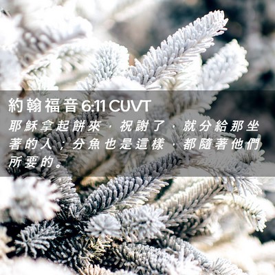 Picture 02 - 約 翰 福 音 6:11 CUVT - 耶 穌 拿 起 餅 來 ， 祝 謝 了 ， 就 - Bible Verse Picture