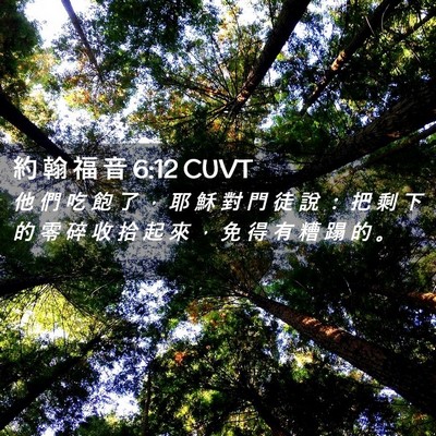 Picture 02 - 約 翰 福 音 6:12 CUVT - 他 們 吃 飽 了 ， 耶 穌 對 門 徒 說 - Bible Verse Picture