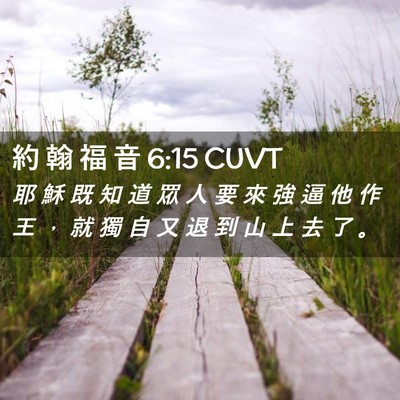 Picture 02 - 約 翰 福 音 6:15 CUVT - 耶 穌 既 知 道 眾 人 要 來 強 逼 他 - Bible Verse Picture