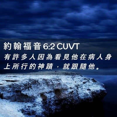 Picture 02 - 約 翰 福 音 6:2 CUVT - 有 許 多 人 因 為 看 見 他 在 病 人 - Bible Verse Picture