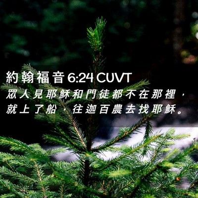 Picture 02 - 約 翰 福 音 6:24 CUVT - 眾 人 見 耶 穌 和 門 徒 都 不 在 那 - Bible Verse Picture