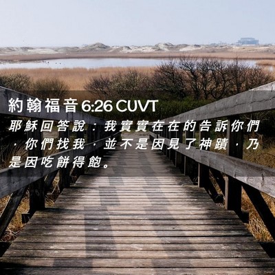 Picture 02 - 約 翰 福 音 6:26 CUVT - 耶 穌 回 答 說 ： 我 實 實 在 在 的 - Bible Verse Picture