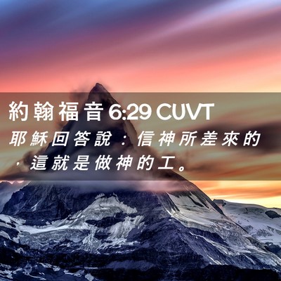 Picture 02 - 約 翰 福 音 6:29 CUVT - 耶 穌 回 答 說 ： 信 神 所 差 來 的 - Bible Verse Picture