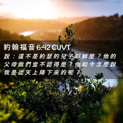 Picture 02 - 約 翰 福 音 6:42 CUVT - 說 ： 這 不 是 約 瑟 的 兒 子 耶 穌 - Bible Verse Picture