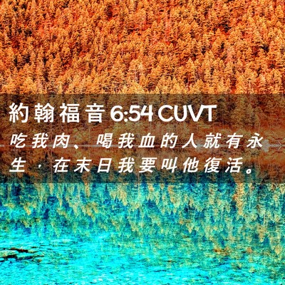 Picture 02 - 約 翰 福 音 6:54 CUVT - 吃 我 肉 、 喝 我 血 的 人 就 有 永 - Bible Verse Picture