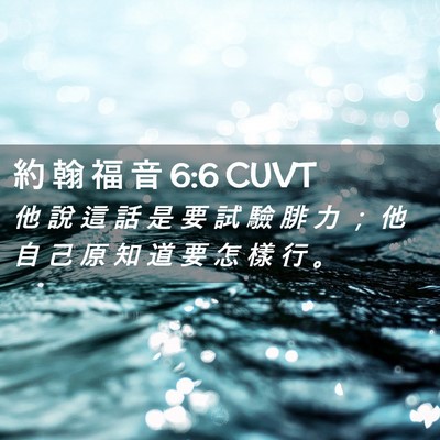 Picture 02 - 約 翰 福 音 6:6 CUVT - 他 說 這 話 是 要 試 驗 腓 力 ； 他 - Bible Verse Picture