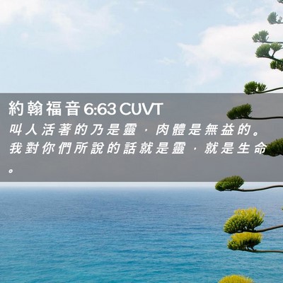 Picture 02 - 約 翰 福 音 6:63 CUVT - 叫 人 活 著 的 乃 是 靈 ， 肉 體 是 - Bible Verse Picture